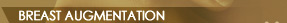 BREAST AUGMENTATION